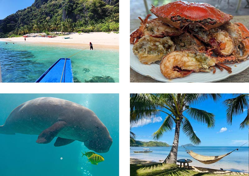 best tours and trips on bususnaga island coron